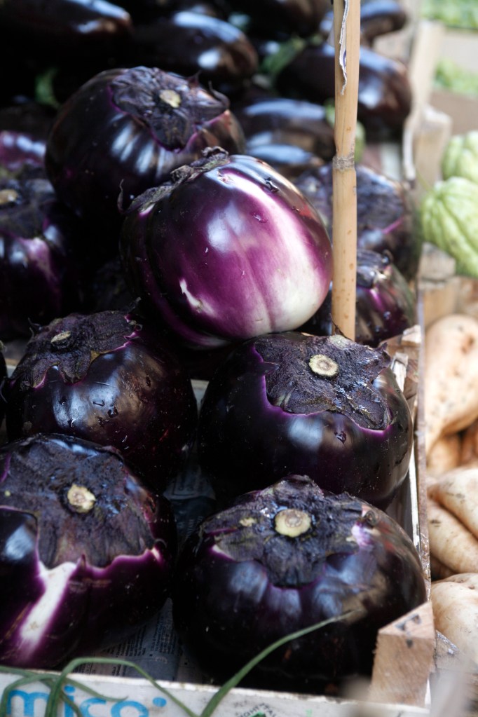 aubergine
